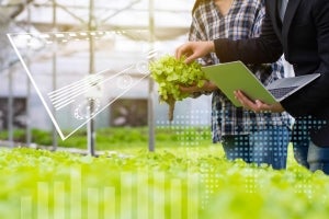 A Guide to Building a Grow Room on a Budget