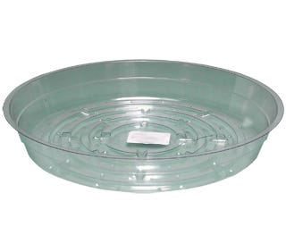 Image of Clear 8" Saucer, pack of 25