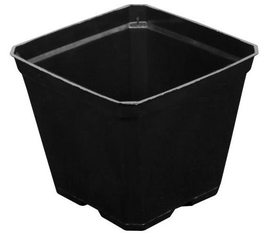 Image of Gro Pro Black Plastic Pot 3.5 in x 3.5 in x 3 in