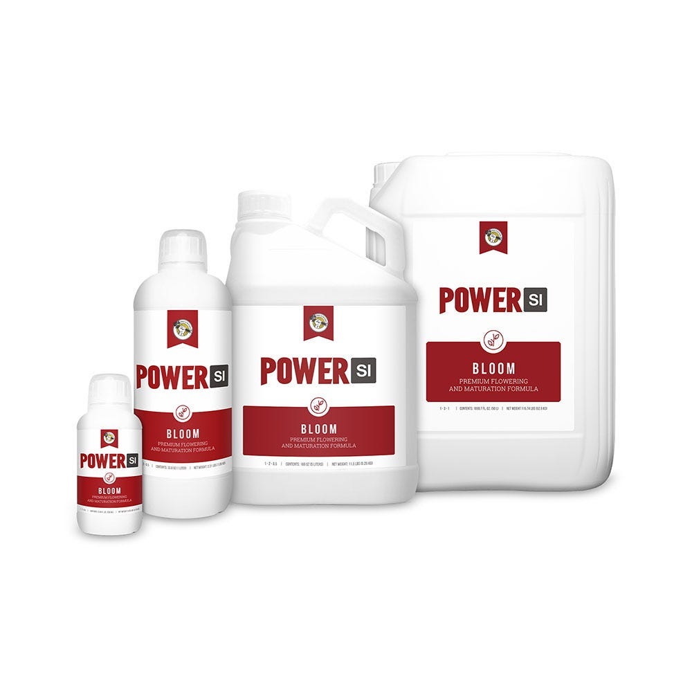 Power Si Bloom