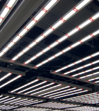 Shop Lighting & Controls