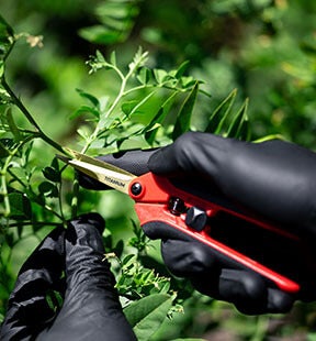Shop Harvest Solutions