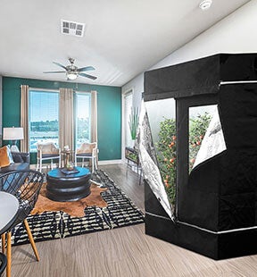 Shop Grow Tents