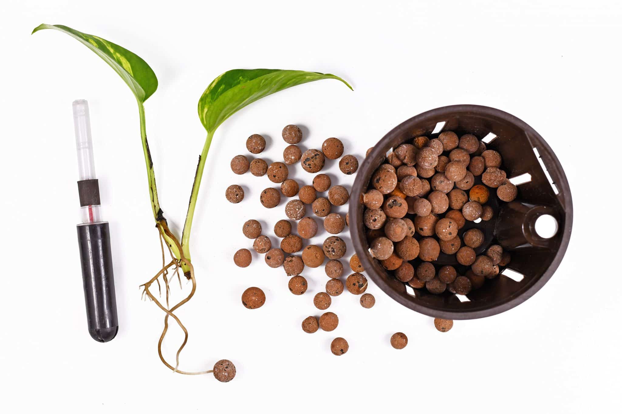 hydroponic beginners guide