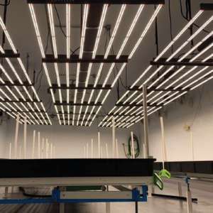 Hydroponic Grow Lights: A Comparison Guide