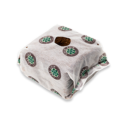 Coco Cube