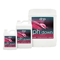pH Down
