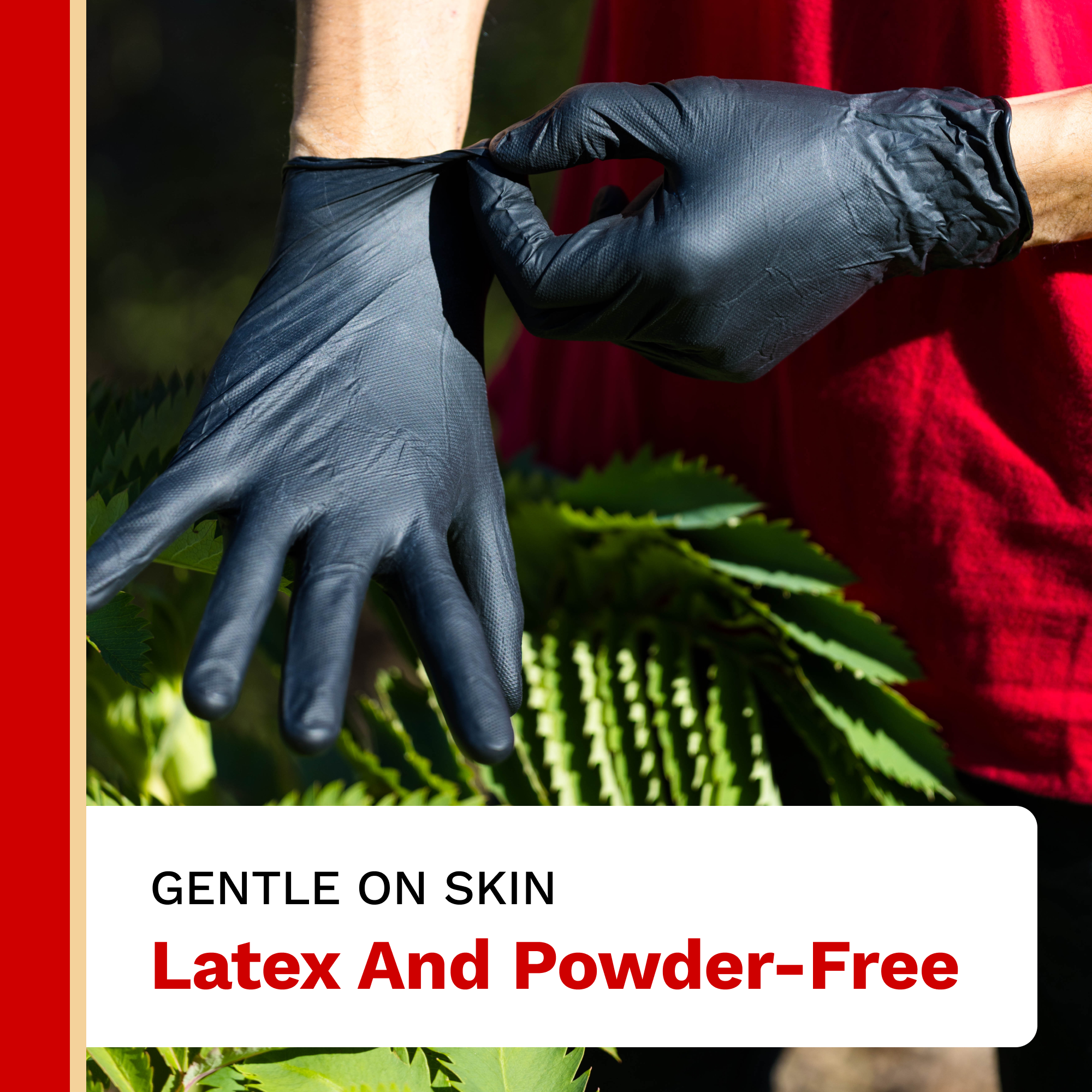 Nitrile Gloves
